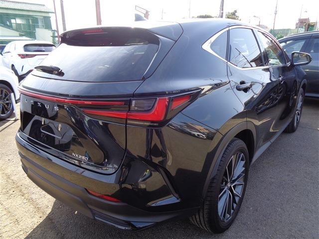 TOYOTA LEXUS NX250 2023 Image 31