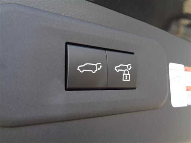 TOYOTA LEXUS NX250 2023 Image 31