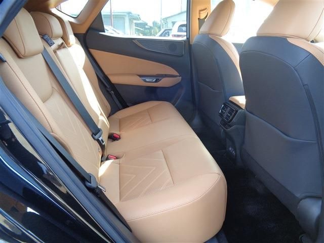 TOYOTA LEXUS NX250 2023 Image 31