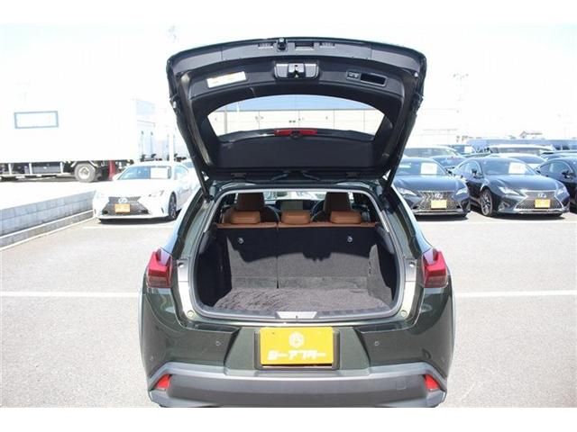 TOYOTA LEXUS UX300E 2021 Image 31