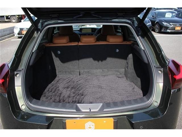 TOYOTA LEXUS UX300E 2021 Image 31