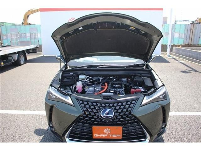 TOYOTA LEXUS UX300E 2021 Image 31
