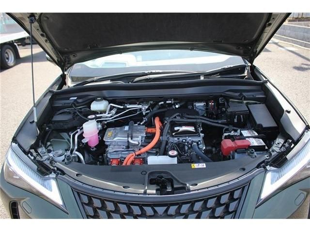 TOYOTA LEXUS UX300E 2021 Image 31