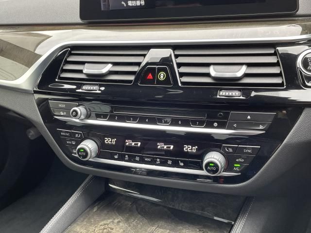 BMW 5SERIES SEDAN 2020 Image 31