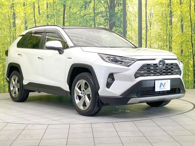 TOYOTA RAV4 HYBRID 4WD 2019 Image 31