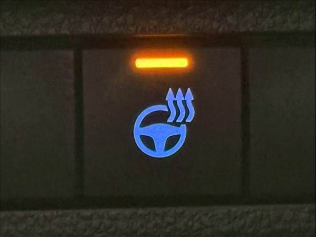 TOYOTA RAV4 4WD 2021 Image 31