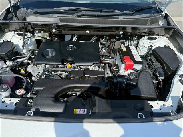 TOYOTA RAV4 4WD 2021 Image 31