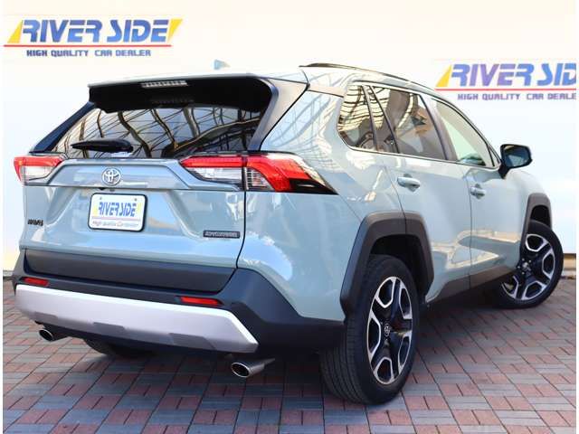 TOYOTA RAV4 4WD 2019 Image 31