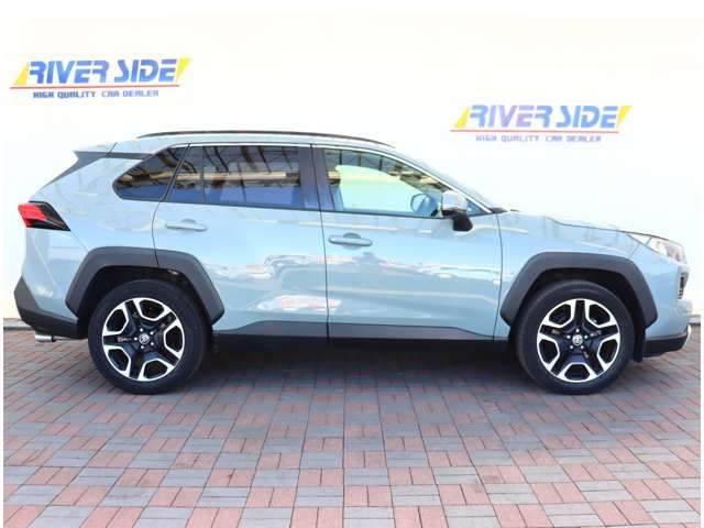 TOYOTA RAV4 4WD 2019 Image 31