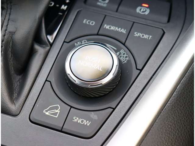 TOYOTA RAV4 4WD 2019 Image 31