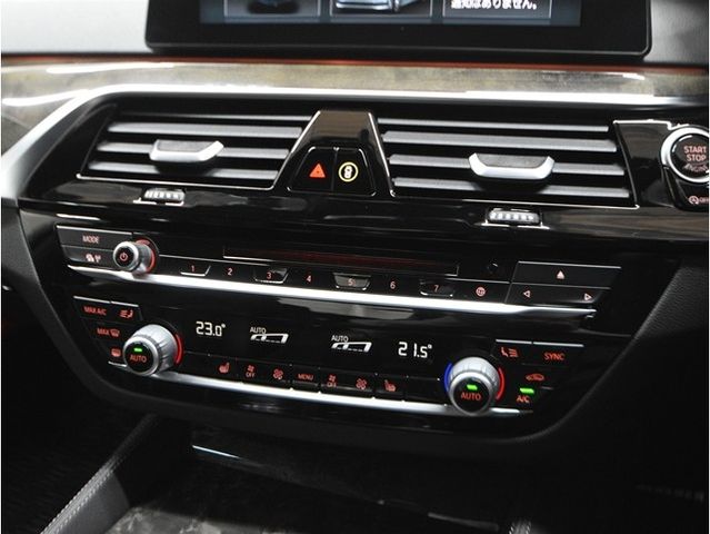 BMW 5SERIES SEDAN 2018 Image 31