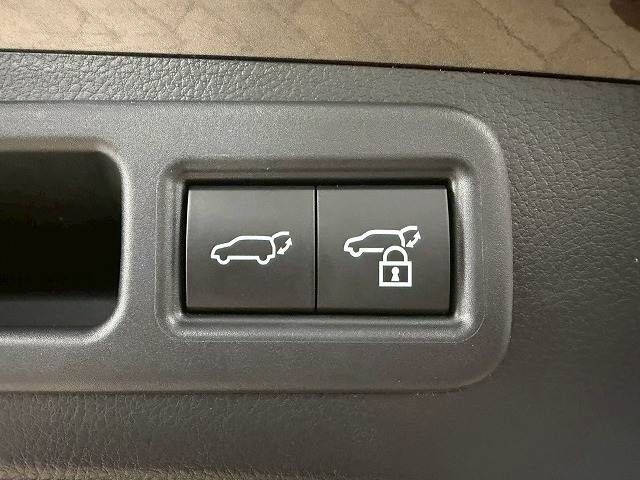 TOYOTA LEXUS RX500H 2023 Image 31