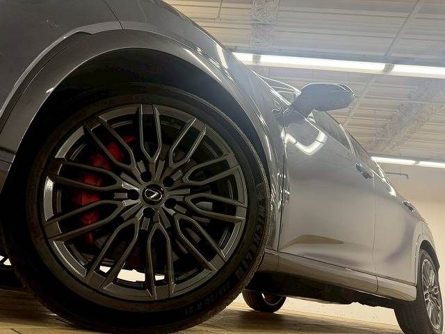 TOYOTA LEXUS RX500H 2023 Image 31