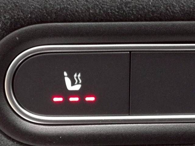 MERCEDES BENZ A CLAS 2019 Image 31