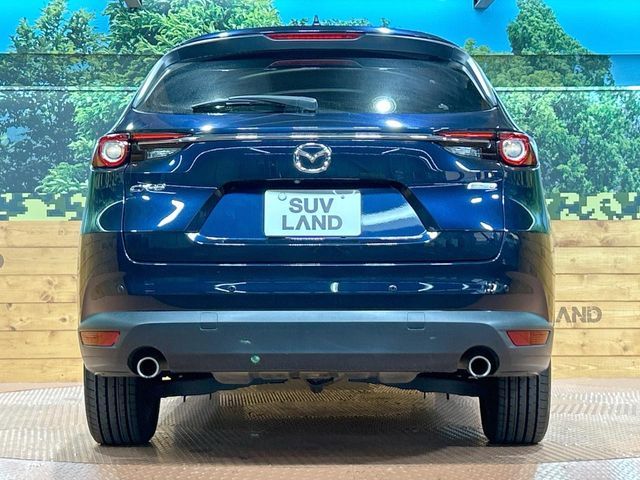 MAZDA CX-8 2018 Image 31