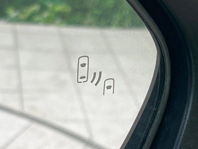 TOYOTA C-HR 2017 Image 31