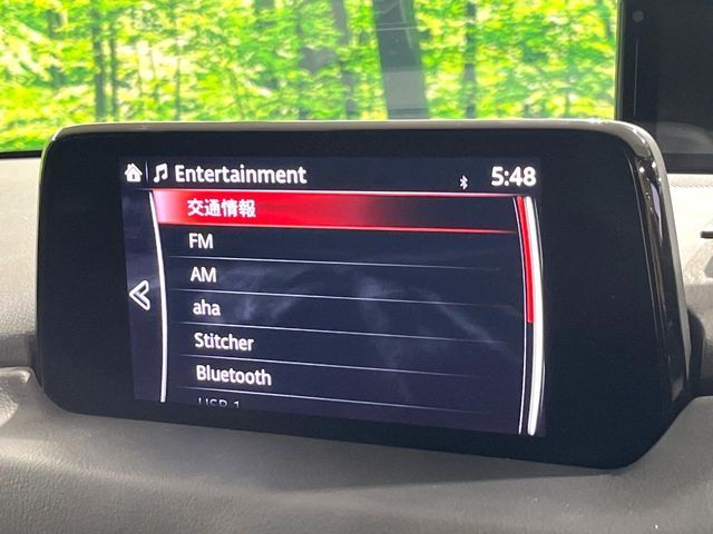 MAZDA CX-8 2019 Image 31