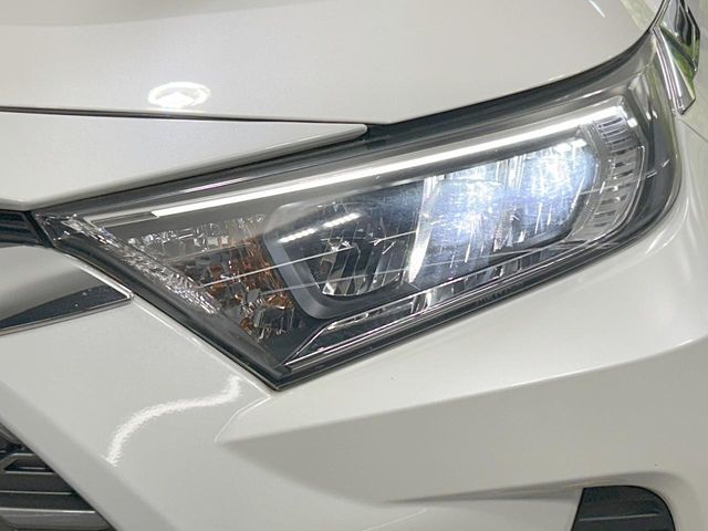 TOYOTA RAV4 4WD 2019 Image 31