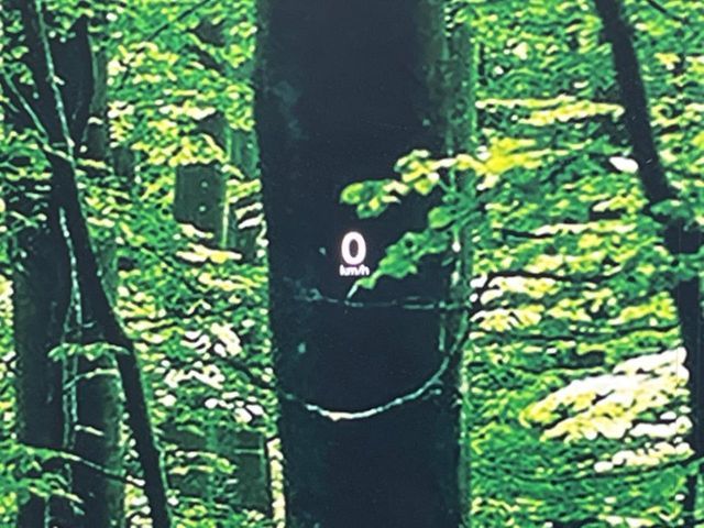 MAZDA 3 FASTBACK 2022 Image 31