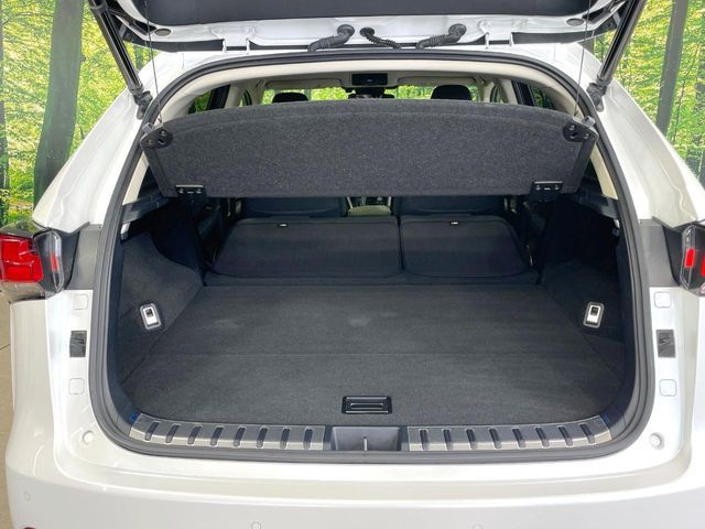 TOYOTA LEXUS NX300 2017 Image 31