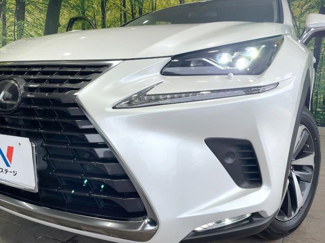 TOYOTA LEXUS NX300 2017 Image 31
