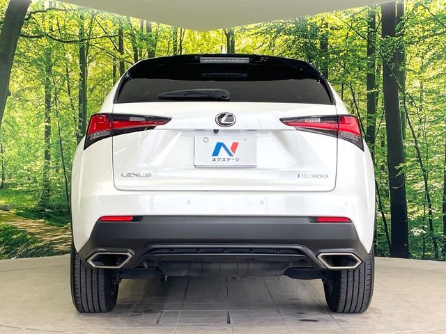 TOYOTA LEXUS NX300 2017 Image 31