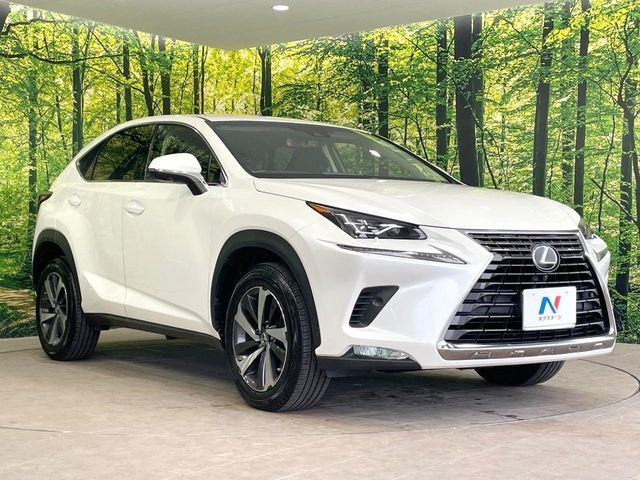 TOYOTA LEXUS NX300 2017 Image 31