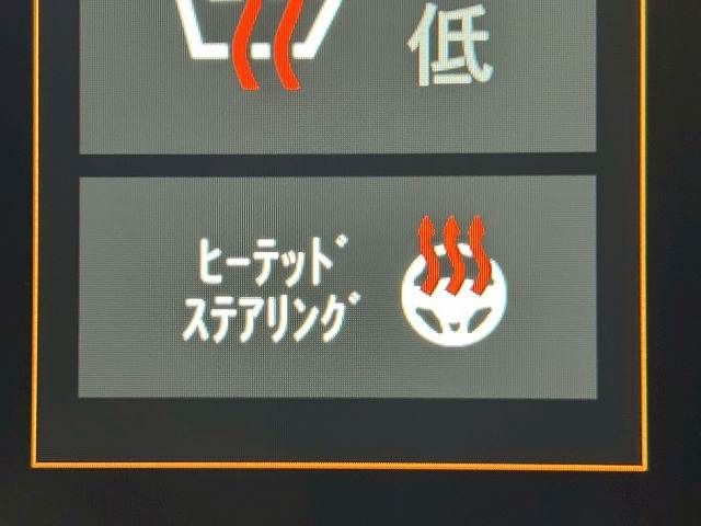 JEEP RENEGADE 2024 Image 31