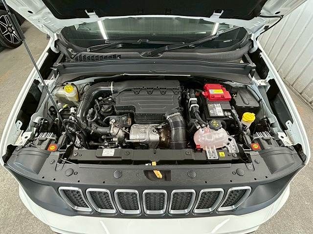 JEEP RENEGADE 2024 Image 31