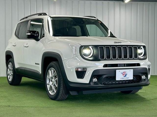 JEEP RENEGADE 2024 Image 31
