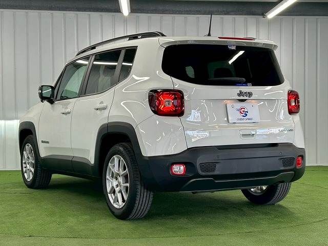 JEEP RENEGADE 2024 Image 31