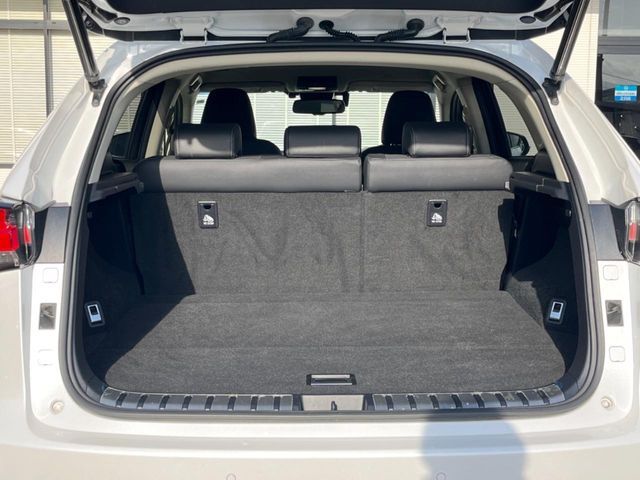 TOYOTA LEXUS NX300H 2018 Image 31