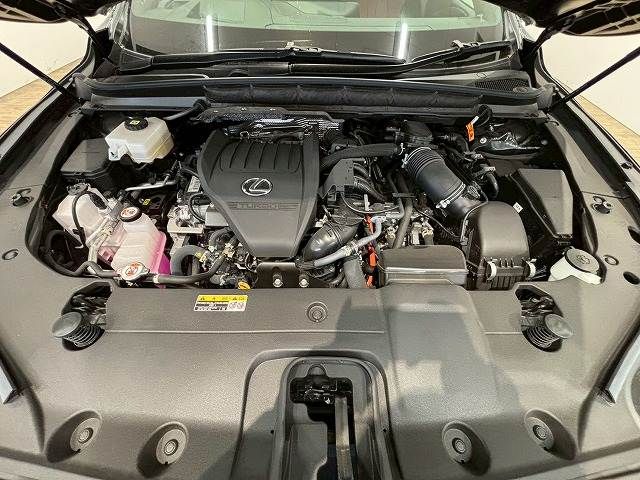 TOYOTA LEXUS RX500H 2023 Image 31