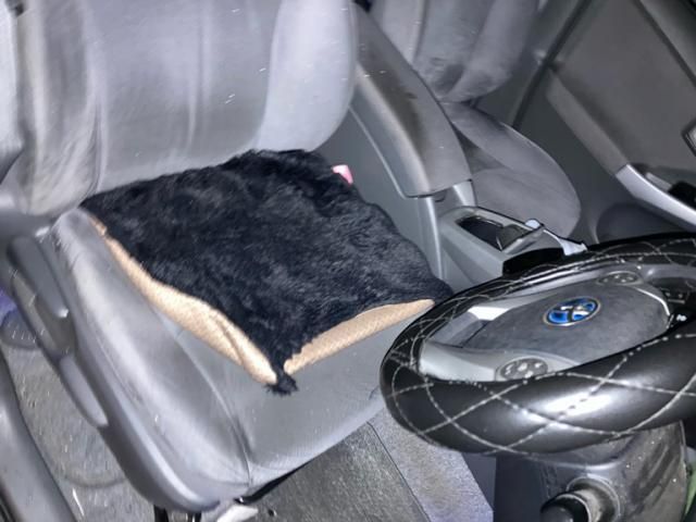 TOYOTA PRIUS 2009 Image 31