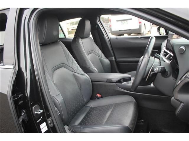 TOYOTA LEXUS UX250H 2023 Image 31