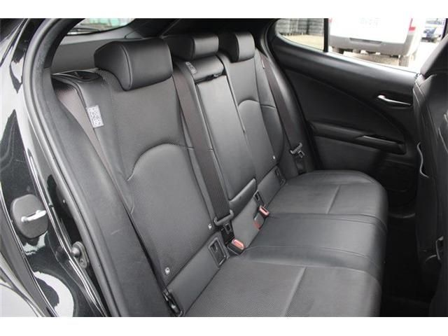 TOYOTA LEXUS UX250H 2023 Image 31