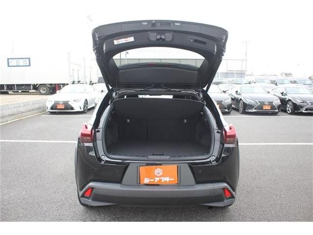 TOYOTA LEXUS UX250H 2023 Image 31