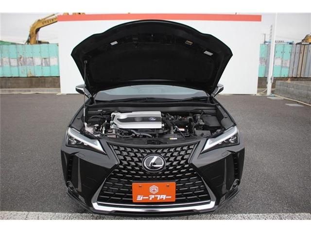 TOYOTA LEXUS UX250H 2023 Image 31