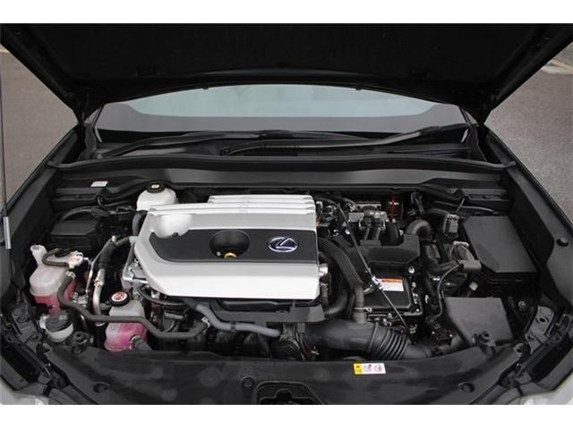 TOYOTA LEXUS UX250H 2023 Image 31