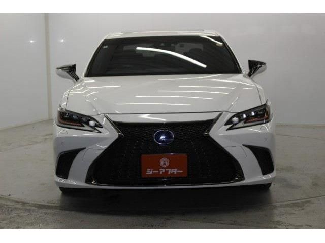 TOYOTA LEXUS ES300H 2020 Image 31