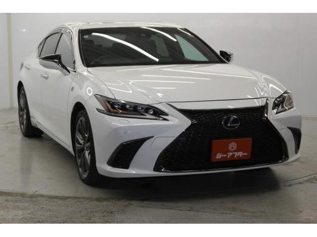 TOYOTA LEXUS ES300H 2020 Image 31