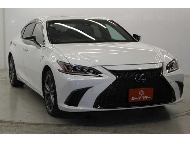 TOYOTA LEXUS ES300H 2020 Image 31