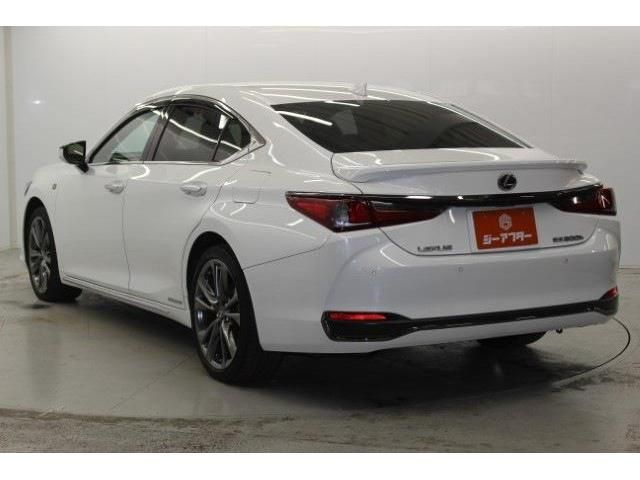 TOYOTA LEXUS ES300H 2020 Image 31