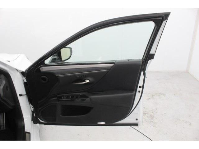 TOYOTA LEXUS ES300H 2020 Image 31