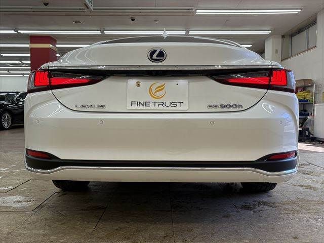 TOYOTA LEXUS ES300H 2021 Image 31