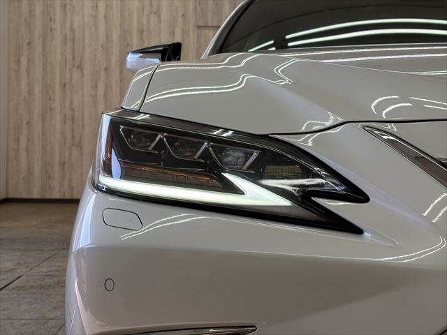 TOYOTA LEXUS ES300H 2021 Image 31