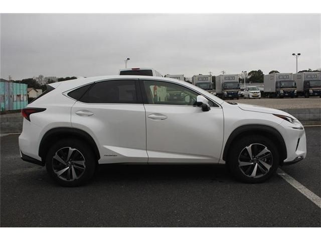 TOYOTA LEXUS NX300H 2018 Image 31