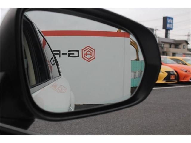 TOYOTA LEXUS NX300H 2018 Image 31