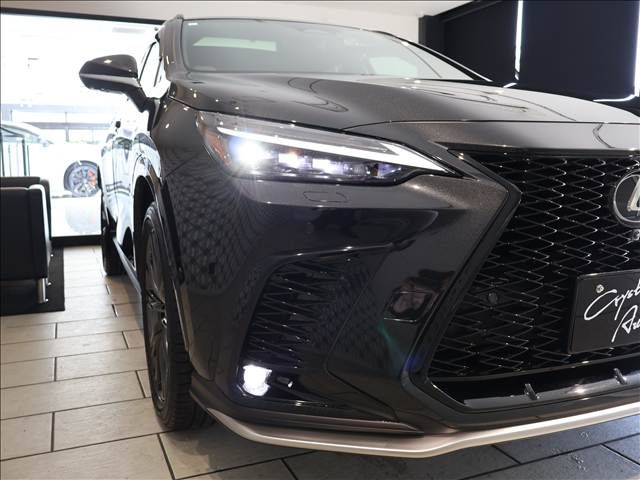 TOYOTA LEXUS NX350H AWD 2023 Image 31