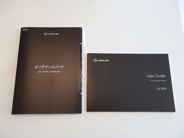 TOYOTA LEXUS NX350H AWD 2023 Image 31